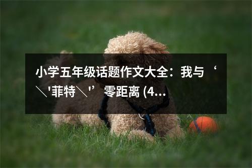 小學(xué)五年級(jí)話(huà)題作文大全：我與‘＼'菲特＼'’零距離 (450字)