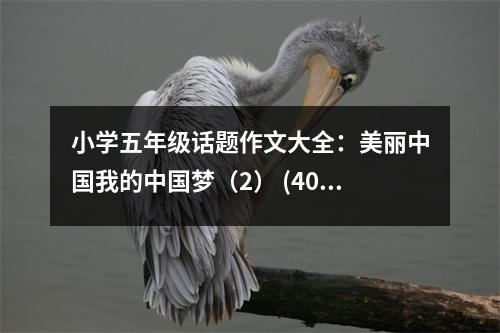 小學(xué)五年級(jí)話題作文大全：美麗中國我的中國夢（2） (400字)