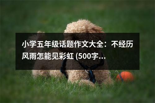 小學(xué)五年級話題作文大全：不經(jīng)歷風(fēng)雨怎能見彩虹 (500字)
