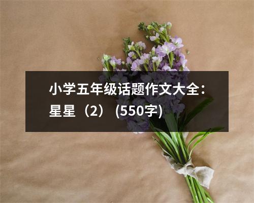 小學五年級話題作文大全：星星（2） (550字)