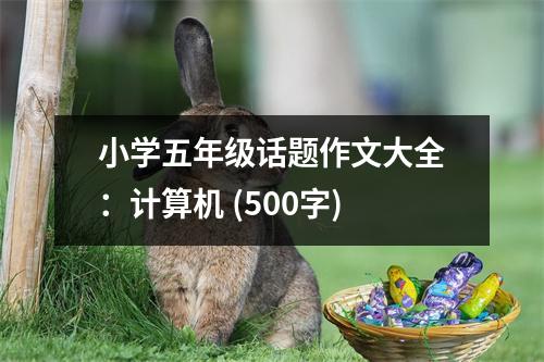 小學(xué)五年級(jí)話題作文大全：計(jì)算機(jī) (500字)