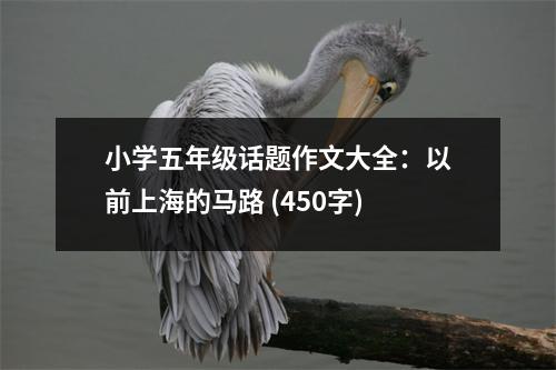 小學五年級話題作文大全：以前上海的馬路 (450字)