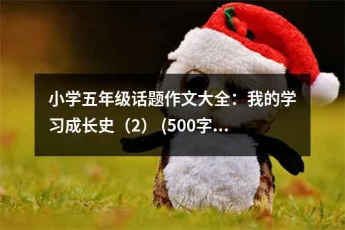 小學(xué)五年級話題作文大全：我的學(xué)習(xí)成長史（2） (500字)