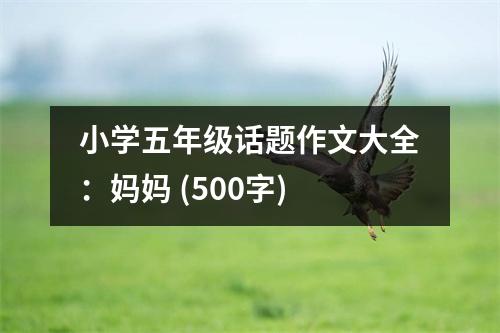 小學(xué)五年級(jí)話題作文大全：媽媽 (500字)