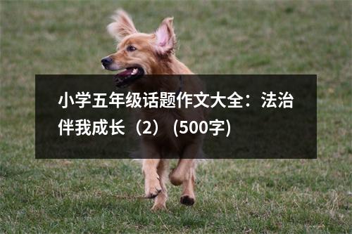 小學(xué)五年級話題作文大全：法治伴我成長（2） (500字)