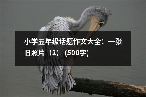 小學五年級話題作文大全：一張舊照片（2） (500字)