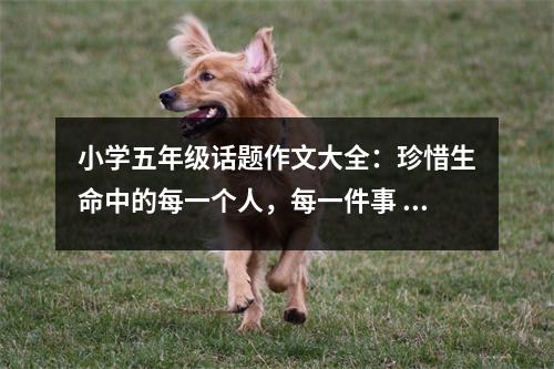 小學五年級話題作文大全：珍惜生命中的每一個人，每一件事 (550字)