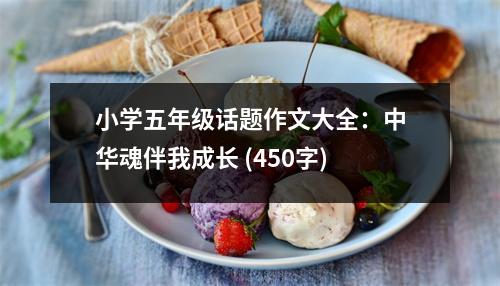 小學五年級話題作文大全：中華魂伴我成長 (450字)