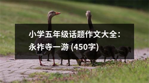 小學(xué)五年級(jí)話(huà)題作文大全：永祚寺一游 (450字)