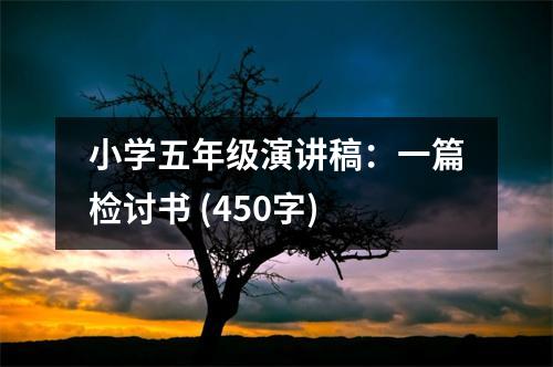 小學(xué)五年級演講稿：一篇檢討書 (450字)