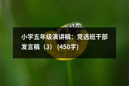 小學(xué)五年級(jí)演講稿：競(jìng)選班干部發(fā)言稿（3） (450字)