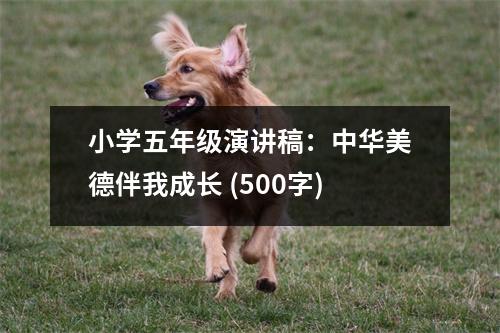 小學(xué)五年級(jí)演講稿：中華美德伴我成長(zhǎng) (500字)