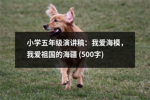 小學五年級演講稿：我愛海模，我愛祖國的海疆 (500字)