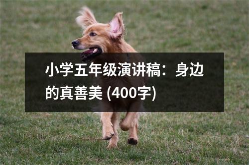 小學五年級演講稿：身邊的真善美 (400字)