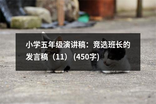 小學五年級演講稿：競選班長的發(fā)言稿（11） (450字)