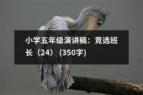 小學(xué)五年級演講稿：競選班長（24） (350字)