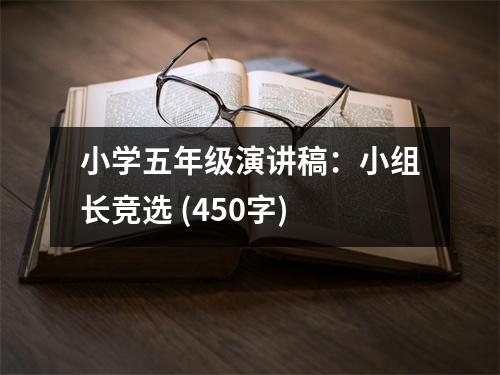 小學(xué)五年級(jí)演講稿：小組長(zhǎng)競(jìng)選 (450字)