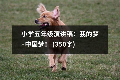 小學五年級演講稿：我的夢·中國夢！ (350字)
