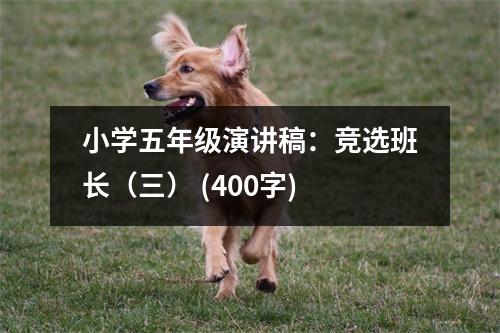 小學(xué)五年級演講稿：競選班長（三） (400字)