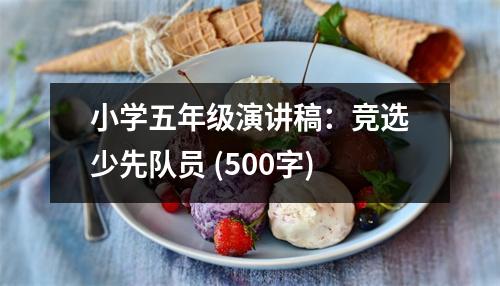 小學(xué)五年級演講稿：競選少先隊員 (500字)