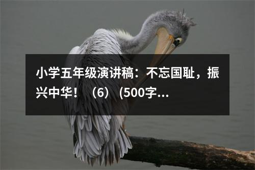 小學(xué)五年級演講稿：不忘國恥，振興中華?。?） (500字)
