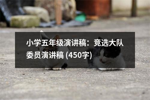 小學(xué)五年級演講稿：競選大隊委員演講稿 (450字)