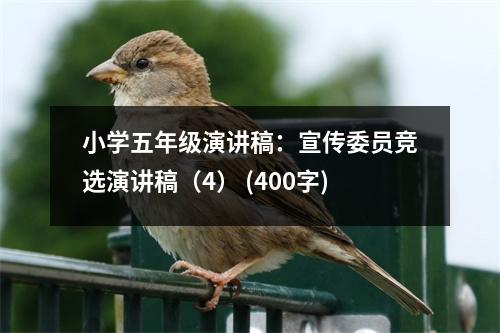 小學(xué)五年級演講稿：宣傳委員競選演講稿（4） (400字)