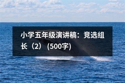 小學(xué)五年級演講稿：競選組長（2） (500字)