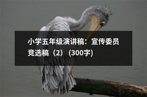 小學(xué)五年級(jí)演講稿：宣傳委員競(jìng)選稿（2） (300字)