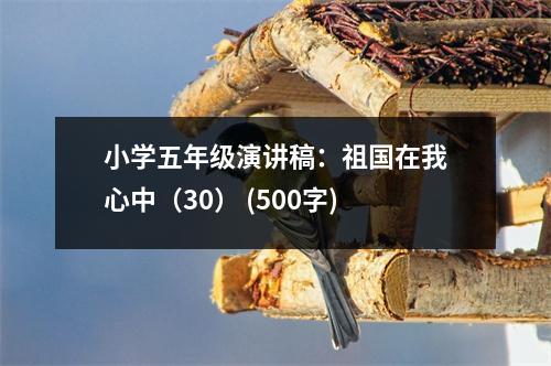 小學(xué)五年級(jí)演講稿：祖國(guó)在我心中（30） (500字)