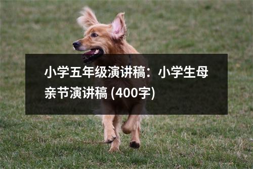 小學(xué)五年級(jí)演講稿：小學(xué)生母親節(jié)演講稿 (400字)