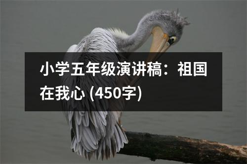 小學(xué)五年級(jí)演講稿：祖國(guó)在我心 (450字)