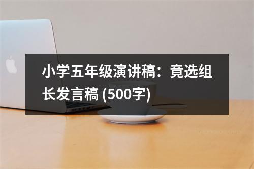 小學(xué)五年級演講稿：竟選組長發(fā)言稿 (500字)