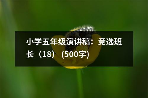 小學(xué)五年級演講稿：競選班長（18） (500字)