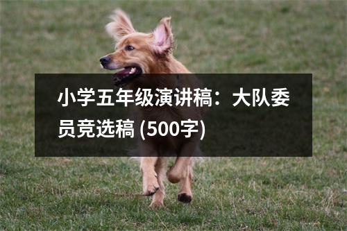 小學(xué)五年級(jí)演講稿：大隊(duì)委員競(jìng)選稿 (500字)
