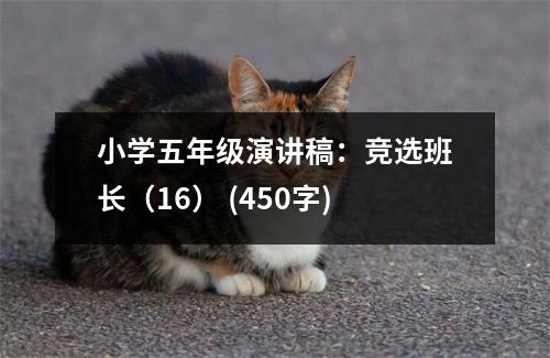 小學(xué)五年級(jí)演講稿：競(jìng)選班長(zhǎng)（16） (450字)
