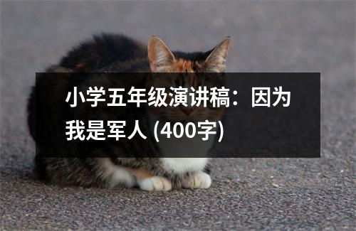 小學五年級演講稿：因為我是軍人 (400字)