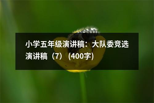 小學(xué)五年級(jí)演講稿：大隊(duì)委競(jìng)選演講稿（7） (400字)