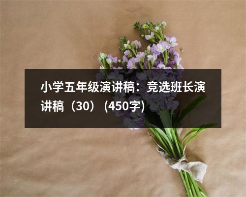 小學(xué)五年級(jí)演講稿：競(jìng)選班長(zhǎng)演講稿（30） (450字)