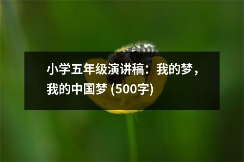 小學(xué)五年級演講稿：我的夢，我的中國夢 (500字)