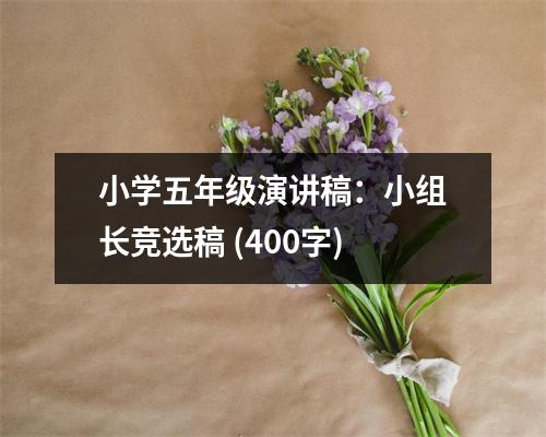 小學(xué)五年級演講稿：小組長競選稿 (400字)
