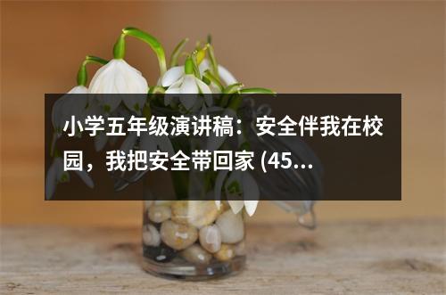 小學(xué)五年級(jí)演講稿：安全伴我在校園，我把安全帶回家 (450字)