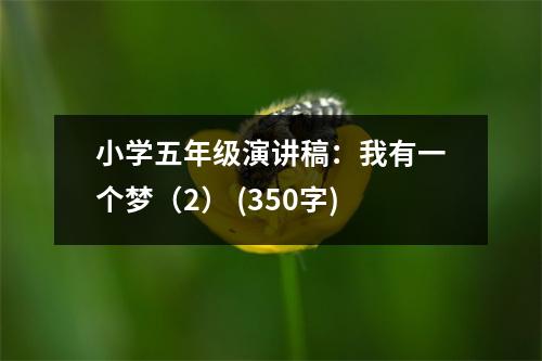 小學(xué)五年級(jí)演講稿：我有一個(gè)夢(mèng)（2） (350字)