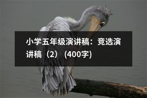 小學(xué)五年級(jí)演講稿：競(jìng)選演講稿（2） (400字)