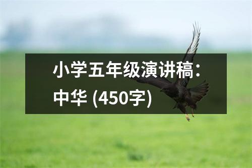小學(xué)五年級(jí)演講稿：中華 (450字)