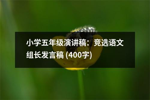 小學五年級演講稿：競選語文組長發(fā)言稿 (400字)