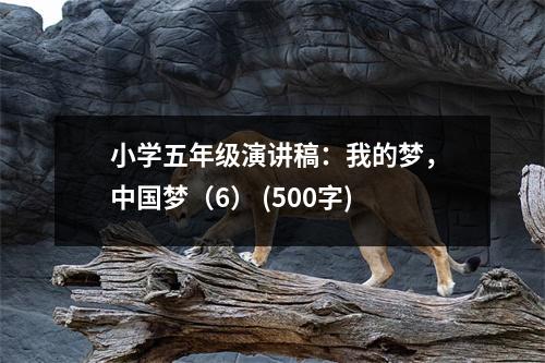 小學(xué)五年級演講稿：我的夢，中國夢（6） (500字)