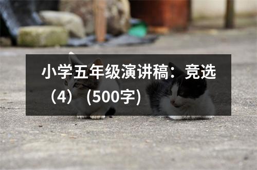 小學(xué)五年級(jí)演講稿：競(jìng)選（4） (500字)