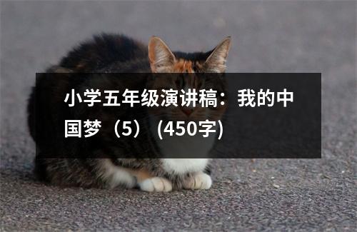 小學(xué)五年級(jí)演講稿：我的中國(guó)夢(mèng)（5） (450字)