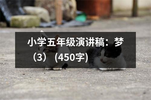 小學五年級演講稿：夢（3） (450字)